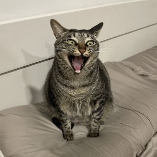 Ben